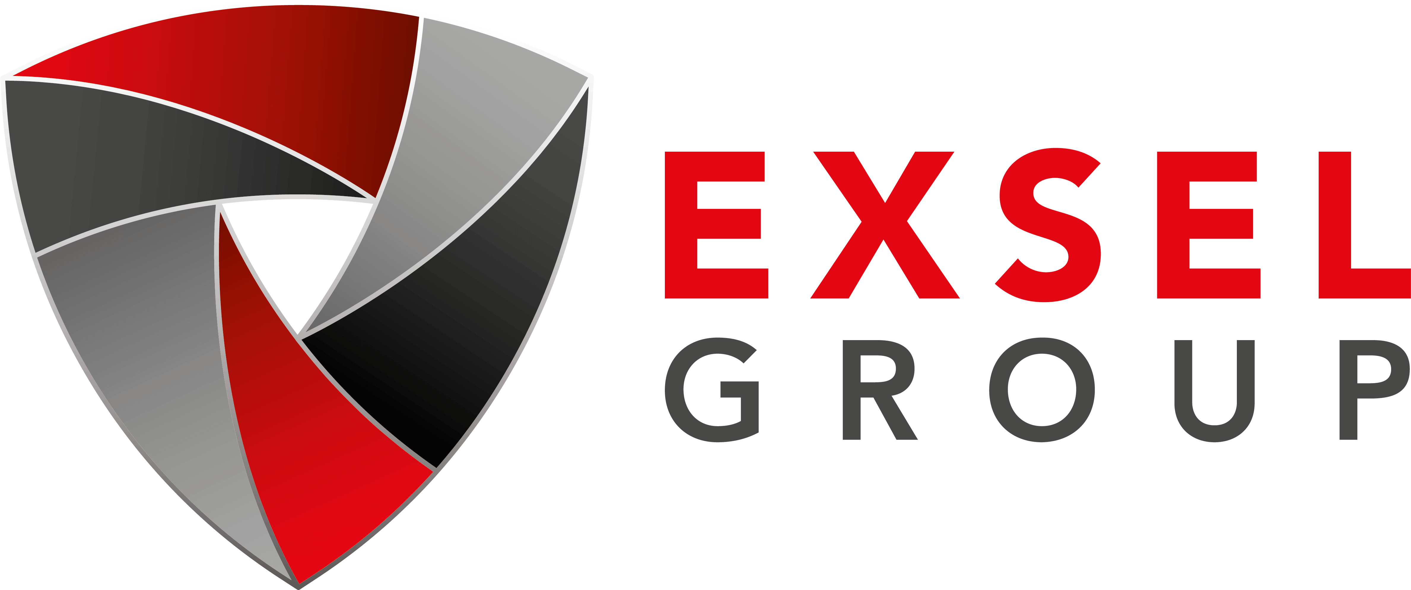 Logo of Exsel Group